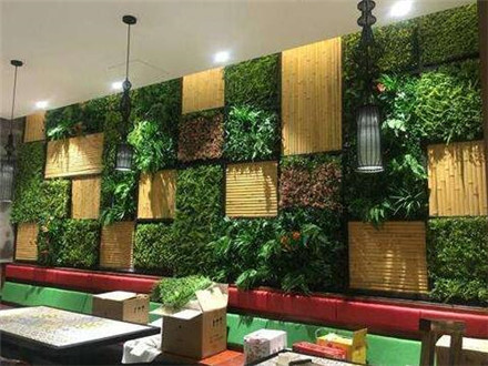 植物牆