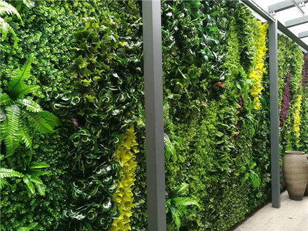 植物牆