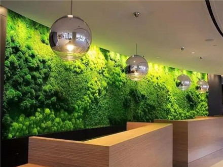 植物牆