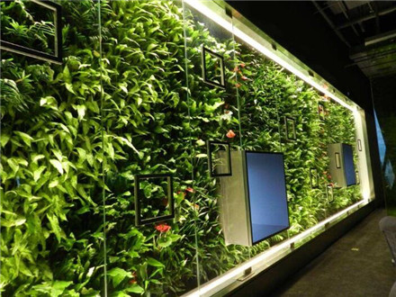 植物牆