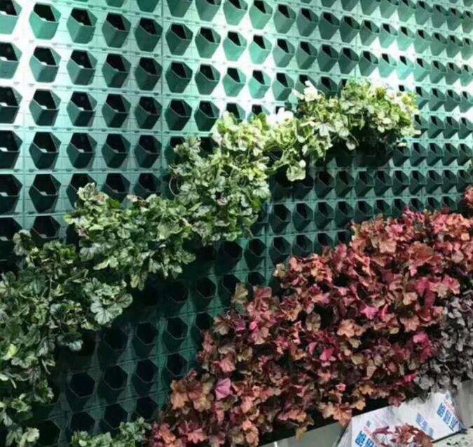 植物牆