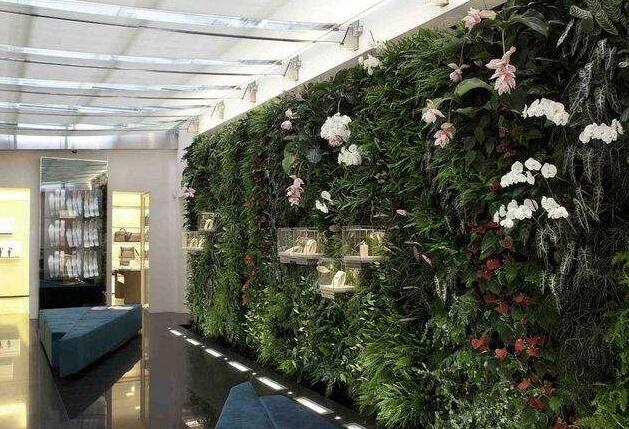 植物牆