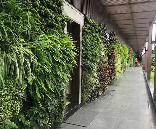 植物牆