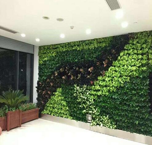 植物牆