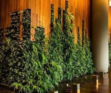 植物牆